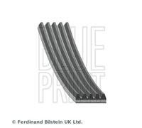 Blue Print AD05R1732 V-Ribbed Belt Fits Hyundai Kia Cerato Getz Matrix Rio