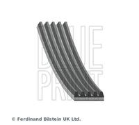 BLUE PRINT AD05R2030 V-Ribbed Belt for LAND ROVER