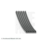 BLUE PRINT AD06R1700 Serpentine belt