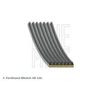 Blue Print AD07A994 V-Ribbed Belt Fits Hyundai Kia Ceed Ioniq Kona Niro
