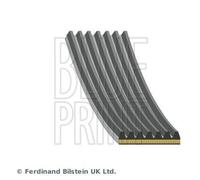 Blue Print Multi V-Ribbed Drive Belt fits Hyundai Kia
