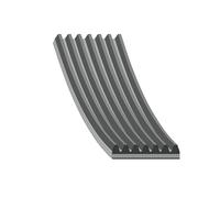BLUE PRINT AD07R1281 Serpentine belt
