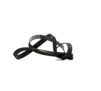 BLUE PRINT AD07R1687 Serpentine belt