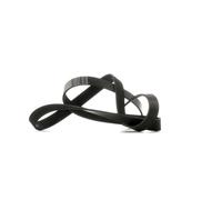 BLUE PRINT AD07R1687 Serpentine belt