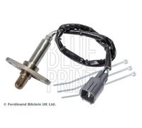 BLUE PRINT ADBP700067 Lambda sensor