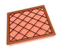 BLUE PRINT ADG022102 Air filter