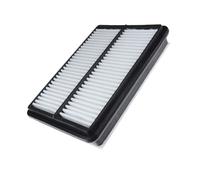 Blue Print ADG022125 Air Filter Fits Great Wall