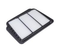 Blue Print ADG02248 Air Filter