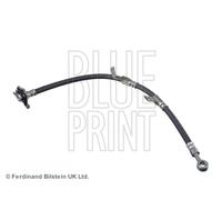 Blue Print ADG053136 Front Right Brake Hose Fits Kia Carnival Grand 58732-4D000