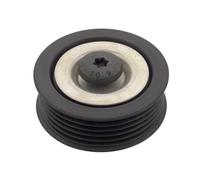 Blue Print ADG096516 Idler Pulley for auxiliary belt, pack of one