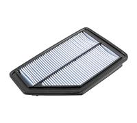 Blue Print ADH22256 Air Filter