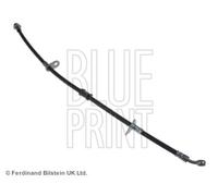 Brake Hose fits HONDA CIVIC EG5, EH9 1.6 Front Right 91 to 95 Hydraulic Quality