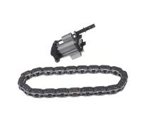 BLUE PRINT ADJ137303 Timing chain kit
