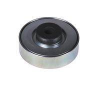 Blue Print ADK896500 Idler Pulley for auxiliary belt, pack of one
