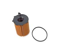 Blue Print ADM52119 Oil Filter