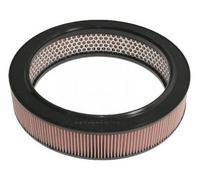 BLUE PRINT ADN12263 Air filter