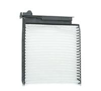 BLUE PRINT ADN12506 Pollen filter