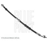 BLUE PRINT ADN153138 Brake hose