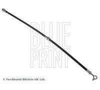Brake Hose Fits Nissan Dualis X-Trail OE 46210JG01B Blue Print ADN153175