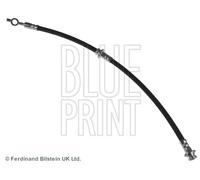 Blue Print Brake Hose ADN153181 for Nissan Front Left Hydraulic 46210BN81A 462105M405 New