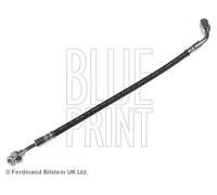 Blue Print Brake Hose - ADN15375