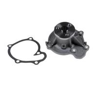 Blue Print Water Pump ADN19143 - Precision Parts for Accurate Fit & Function