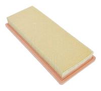 BLUE PRINT ADP152203 Air filter