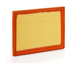 Blue Print ADT322110 Air Filter