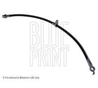 Blue Print Brake Hose - ADT353161