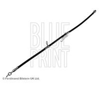 Brake Hose fits TOYOTA RAV4 2.2D Front Right 07 to 13 Hydraulic Blue Print New