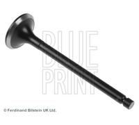 Blue Print ADU176103 Exhaust Valve