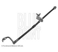 Blue Print Brake Hose - ADZ95342