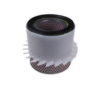 Blue Print Air Filter - ADC42219