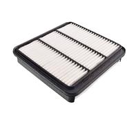 Blue Print Air Filter - ADC42249
