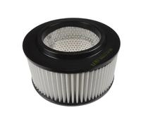 Blue Print Air Filter - ADG022110