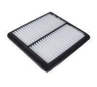 Blue Print Air Filter - ADG02218