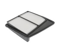 Blue Print Air Filter - ADH22270