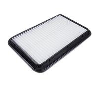 BLUE PRINT ADK82226 Air filter