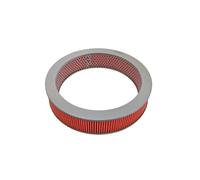 Blue Print Air Filter - ADN12202