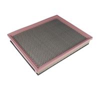 Blue Print Air Filter - ADN12251