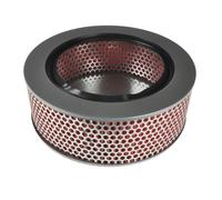 Blue Print Air Filter - ADS72204