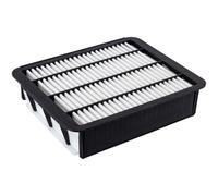 Blue Print Air Filter - ADT322125