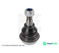BLUE PRINT BALL JOINT ADN186123