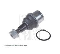 Blue Print Ball Joint Front Right fits Land Rover Discovery III 2004-2009