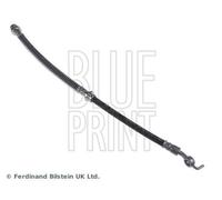 Brake Hose Fits Mitsubishi Colt Lancer V OE MR129799 Blue Print ADC45330