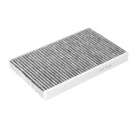 BLUE PRINT ADBP250119 Pollen filter