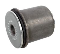 Blue Print Control Arm Bush - ADBP800229