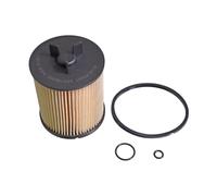 Blue Print Fuel Filter - ADV182325