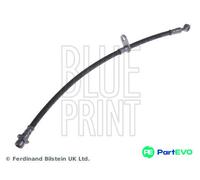 BLUE PRINT REAR LEFT BRAKE HOSE ADH253204 FOR HONDA