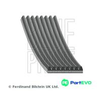 BLUE PRINT V-RIBBED BELT AD08R1225 FOR MAZDA